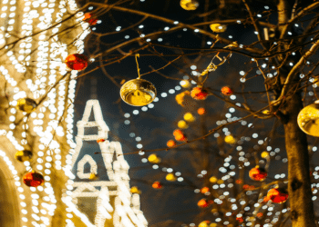 Mastering the Holiday Hustle: Lakshmi Sushma Daggubati’s Expert Insights on Navigating Fraud Challenges in Payments