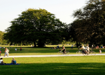 Balancing City Management and Outdoor Recreation: Perspectives from Patrick Marsh City Manager