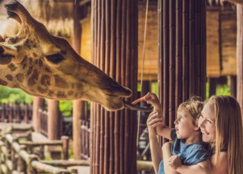 Best Zoos in the U.S. 2024: A Comprehensive Guide