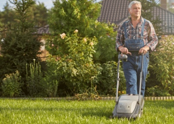 Understanding I.P.M Lawn Care