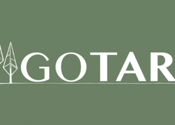 Breaking Down Barriers: Arming Managers to Overcome Maternal Wall Bias