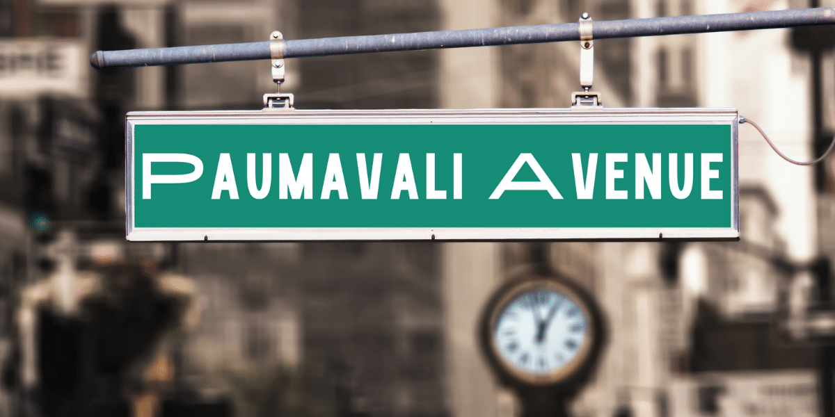 Paumavali: Where Bold Creativity Takes Center Stage in Urban Fashion