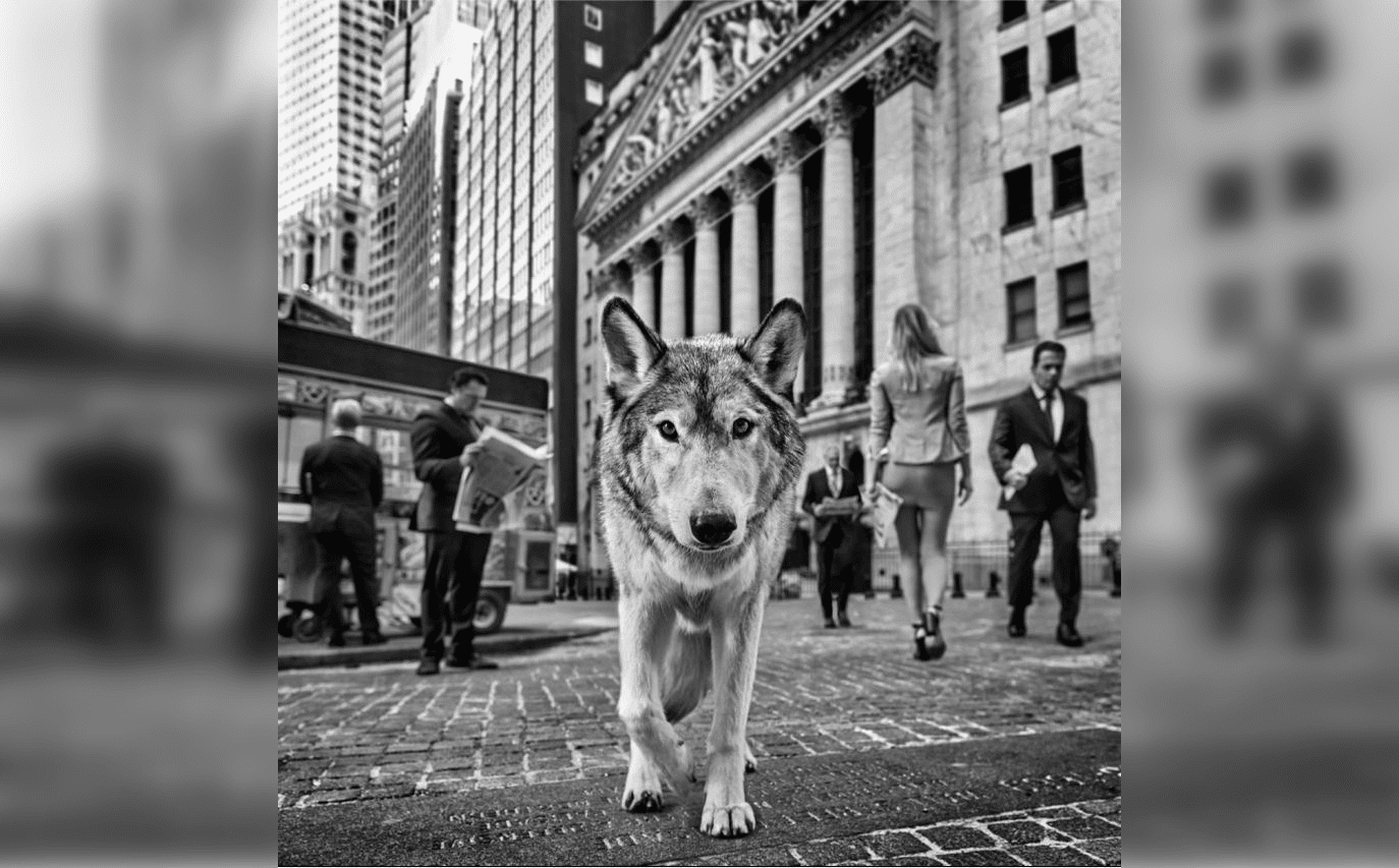 David Yarrow and Shanan Campbell