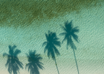 Typhoon Season in Tropical Islands: When is the Right Time to Visit?