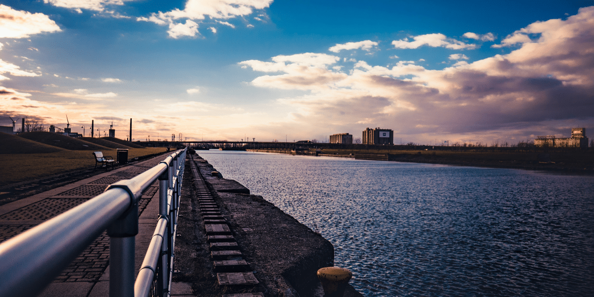 The Buffalo Spirit in Business: Todd Nicosia Dissects How Hometown Values Shape Leadership