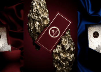 Empowering Women, Empowering Brands: Ms World Is a Launchpad for Women’s Success