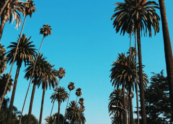 Is it Time to Follow the Westward Wind? Here Are the 7 Reasons Why New Yorkers Are Making California Their New Home