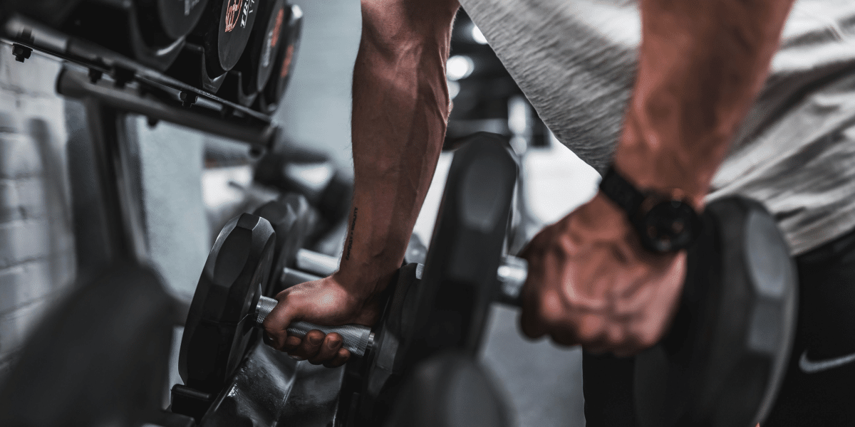A Comprehensive Beginner's Guide to Weight Training