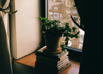 New York Newcomers: Tips for Settling Into the Big Apple