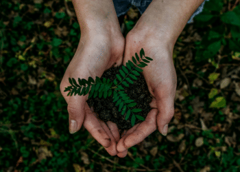 Green Spaces and Well-being: Chadwick Robertson On Designing Eco-Friendly Community Areas for Healthier Living