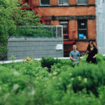 Urban Gardening Services Flourish Amidst Skyscrapers