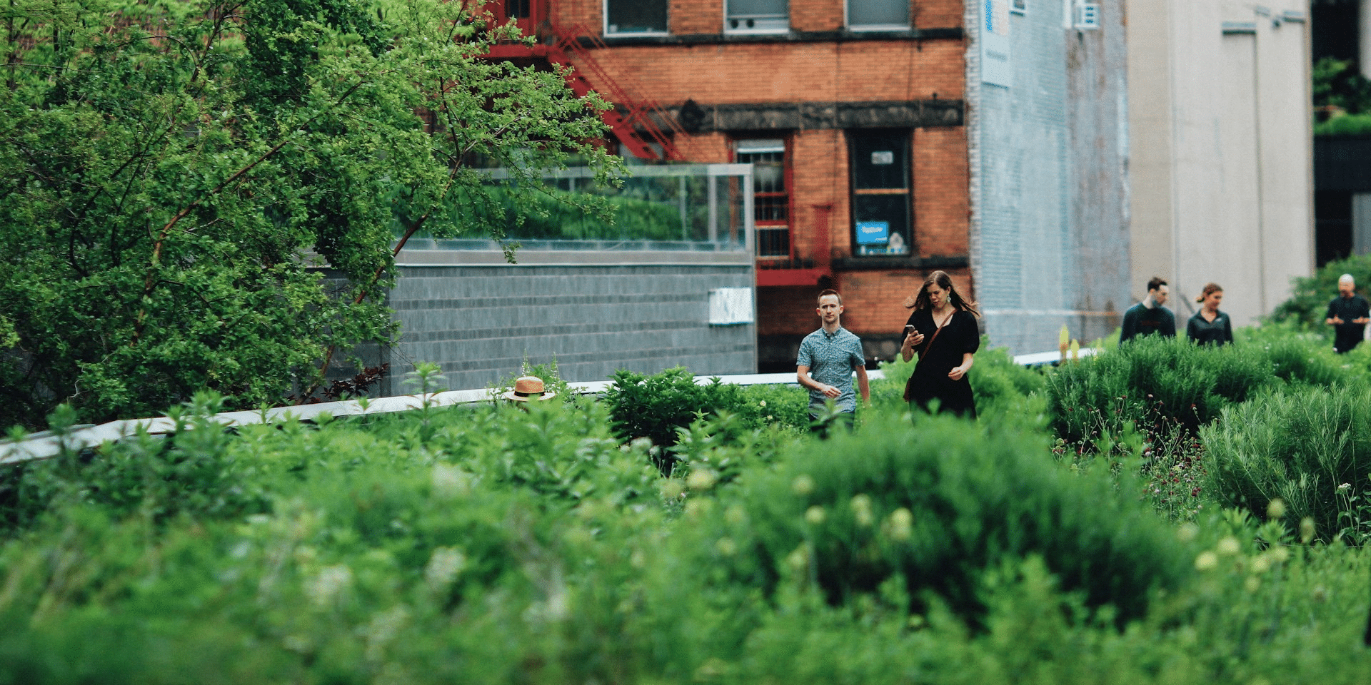 Urban Gardening Services Flourish Amidst Skyscrapers