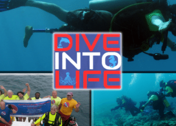 Aquanauts Adaptive Aquatics Paves the Way for Healing and Thriving Underwater