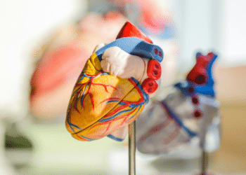 The Ripple Effect- How Cholesterol Impacts Your Body's Systems