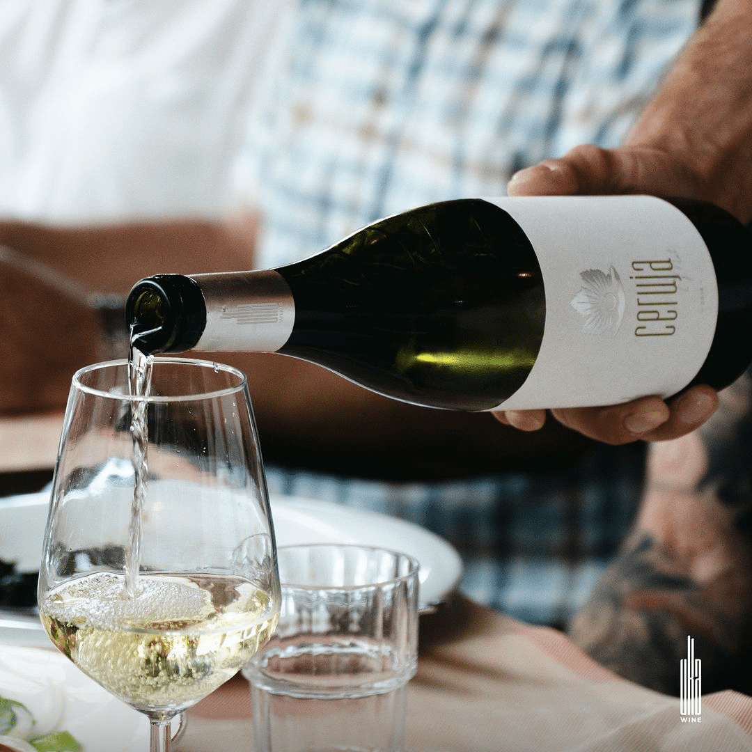 A Full Guide on Wine Tasting in Tirana, Albania