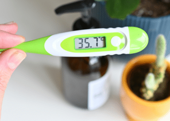 Digital Thermometers: Precision Meets Affordability at Thermometers Direct