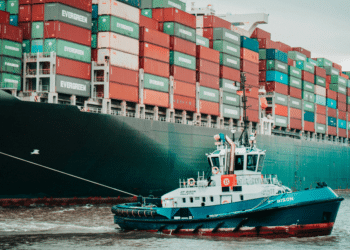 Exceeding Industry Standards in Logistics: Insights from William Maclyn Murphy McRae