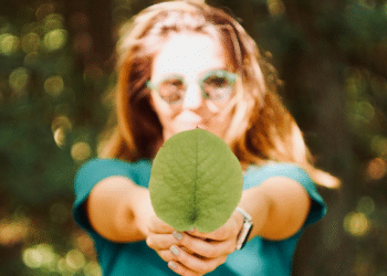 Sustainability Simplified: CarbonCred Now Offers a Monthly Carbon Offsetting Plan for Businesses