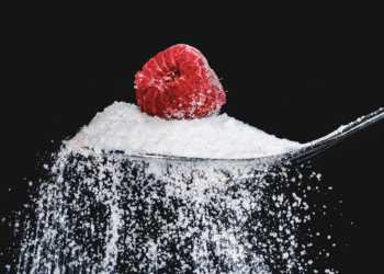 Gunawan Jusuf Discusses Sugar in the New, Sustainable Circular Economy of Indonesia