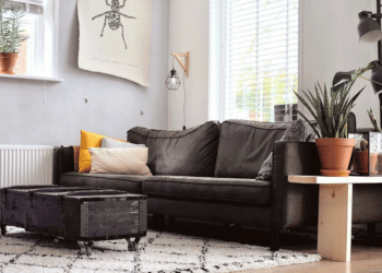 Vacuum Cleaner Maintenance: Preventing Common Issues