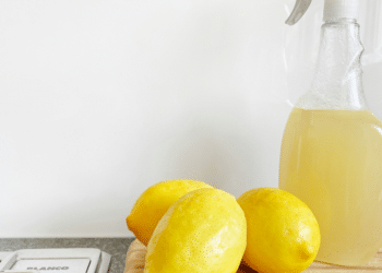 Spring Into Action: Comprehensive Cleaning Tips to Refresh Your Home and Mind