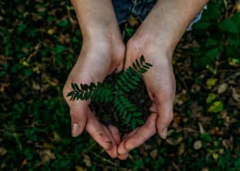 Unlocking the Secrets of Sustainable Wealth with Peter Fusaro, a Veteran in Climate Change Strategy