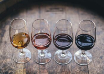 A Full Guide on Wine Tasting in Tirana, Albania