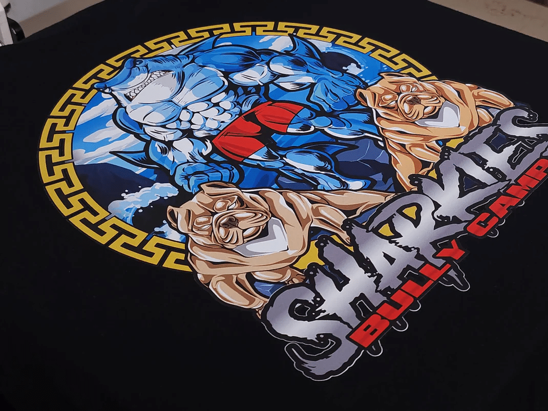 DTF Transfer Sheets: DTF Transfer Supply Revolutionizing Custom Printing