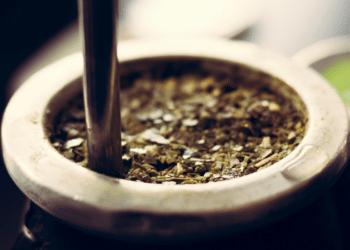 Alternatives to Regu-Mate for Mares- A Full Guide