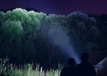 Arkfeld Pro Dragon Engraving Edition Compact for Everyday Carry