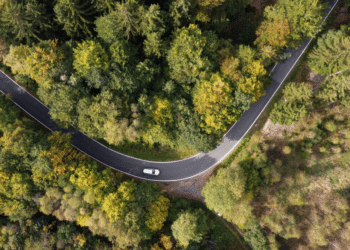 CarbonClick Offset Your Carbon Footprint