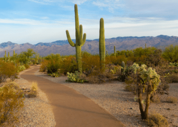 Crafting a Distinct Identity: Brandon Gilkey's Path to Personal Branding in Real Estate