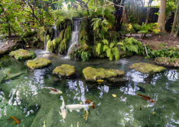 Epic Landscapes Turning Miami’s Outdoor Dreams into Reality