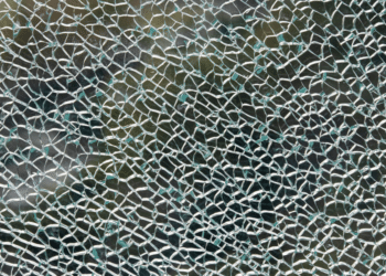 Exploring Shame on 2nd Amendment by Dr. Mohsin Ali