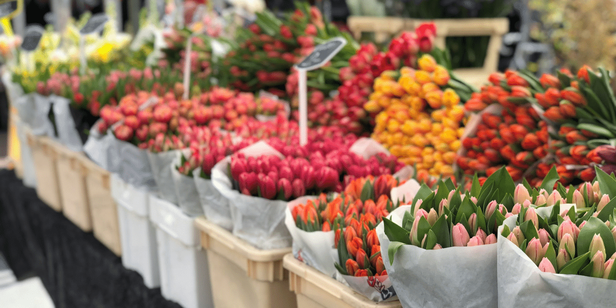 Handy Flowers Blooming Brilliance Transforming London's Landscape