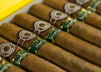 How to Choose Your Perfect Cigar