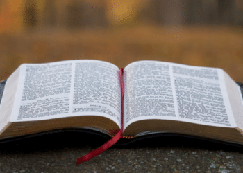 Life Surge A Christian Perspective on Wealth Management_2