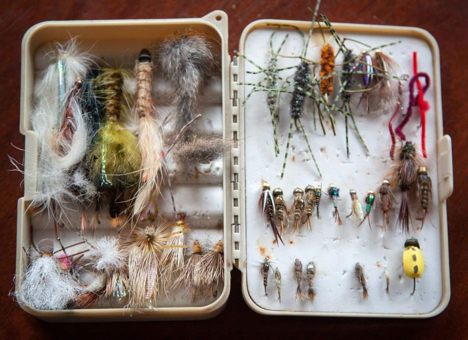 Art of Fly Selection: Wooly Buggers, Dry Flies, and More