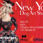 New York Dog Art Show Unleashing Canine Creativity