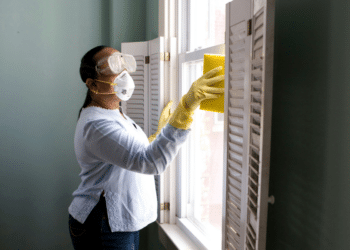 Safe Pest Control Protects Sydney Homes From Rodents