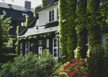 Urban Greening The Transformative Work of Handy Gardeners in London