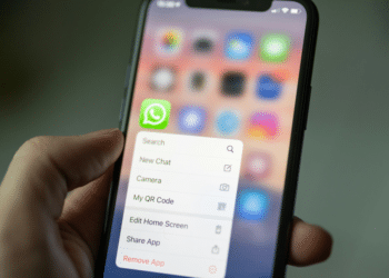 WhatsApp Newsletter Engaging Audiences in the Digital Age