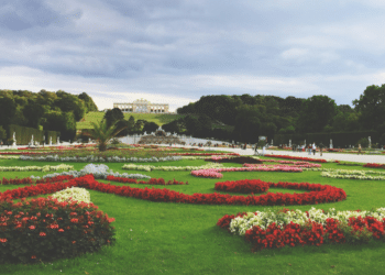 City Garden Elevates with Premier Gardening Services