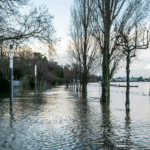Emergency Response Guide – Flood Damage Cleaning in Coburg