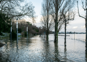 Emergency Response Guide – Flood Damage Cleaning in Coburg
