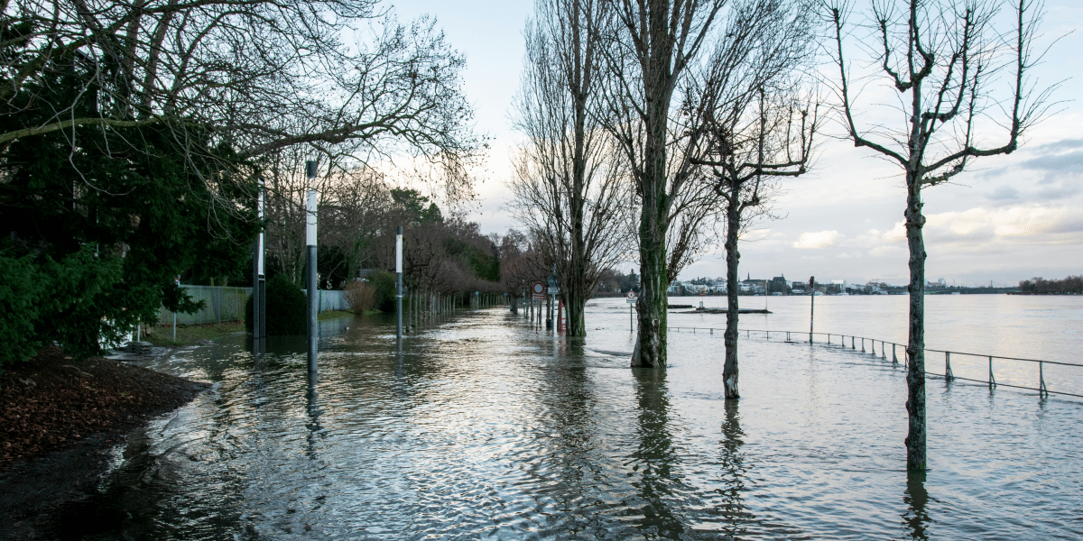 Emergency Response Guide – Flood Damage Cleaning in Coburg