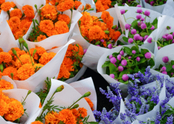 Flowers By Post UK Beauty Delivered to Doors