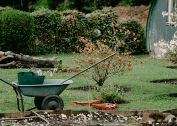 Gardening Services Gardeners: Delivering Dream Gardens Across London