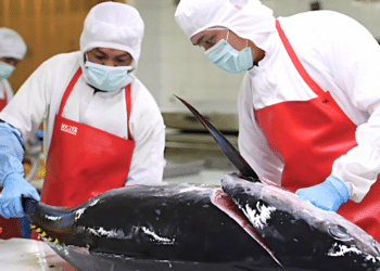 Indonesia Champions Sustainable Tuna Fisheries Management