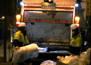 MCDonnell Skip Hire: Revolutionizing Rubbish Removal Services in Greater London